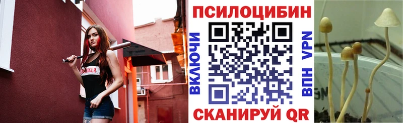 Псилоцибиновые грибы прущие грибы купить наркотик Казань