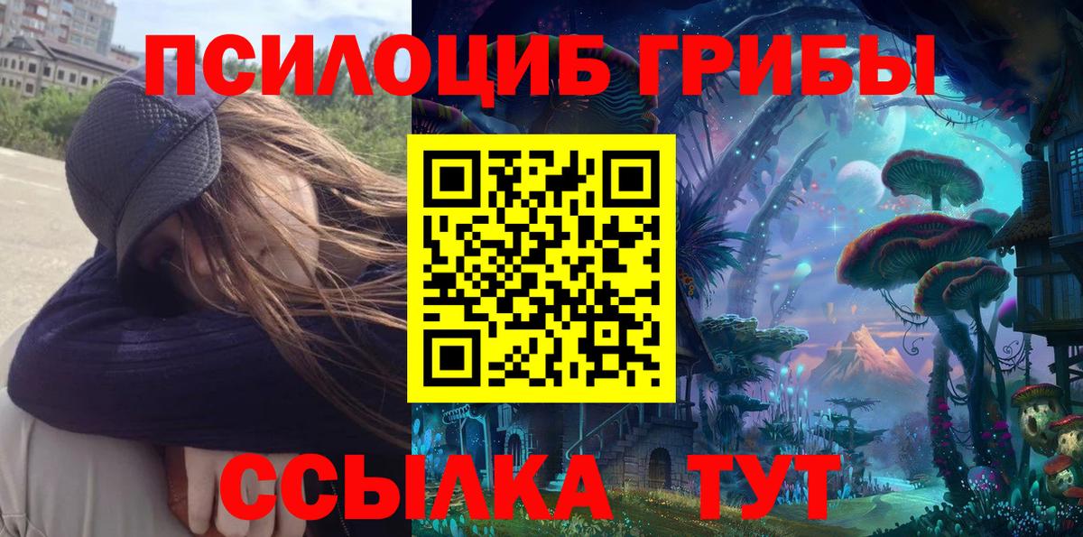 Казань  Псилоцибиновые грибы GOLDEN TEACHER  Псилоцибиновые грибы прущие грибы  Вход с VPN 